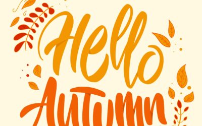 🍂 Cambio de temporada en Molina: ¿Por qué un trastero en otoño es tu mejor aliado?